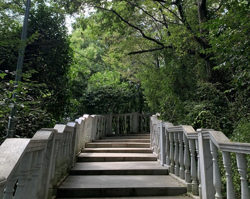 Россиянин рассказал, почему Сочи стал для него лекарством