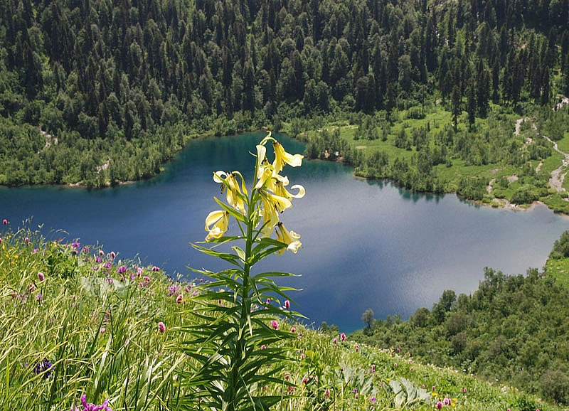 Нацпарк Сочи прокуратура уличила в подлоге документов