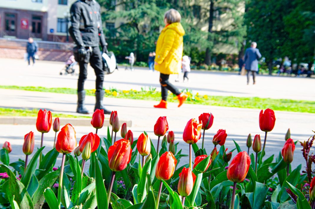 Стало известно, какие законы вступают в силу в мае
