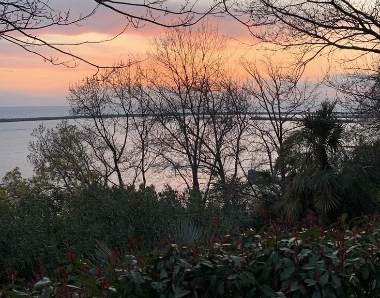 Вы не поверите! Названа стоимость самых дешевых домов с видом на море в Сочи