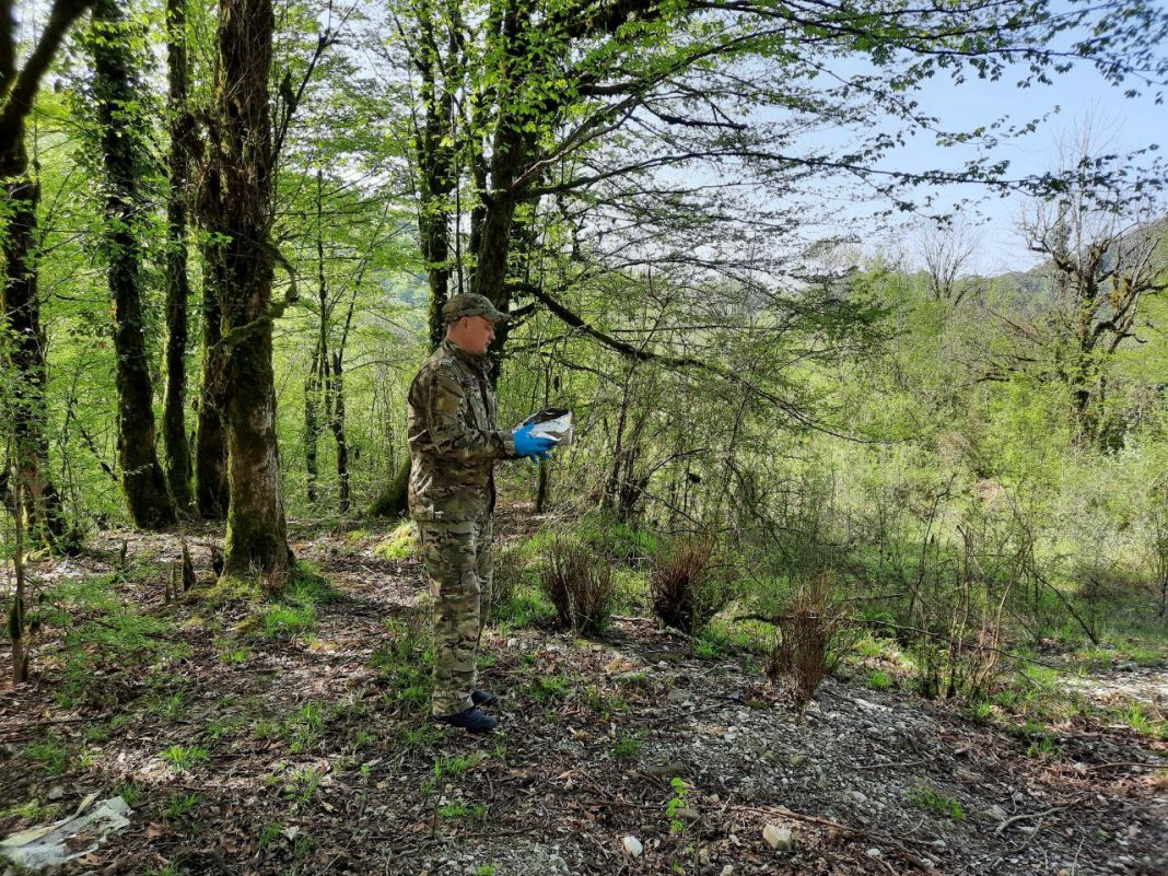 В лесах Сочи спрятали брикеты с вакцинами от бешенства
