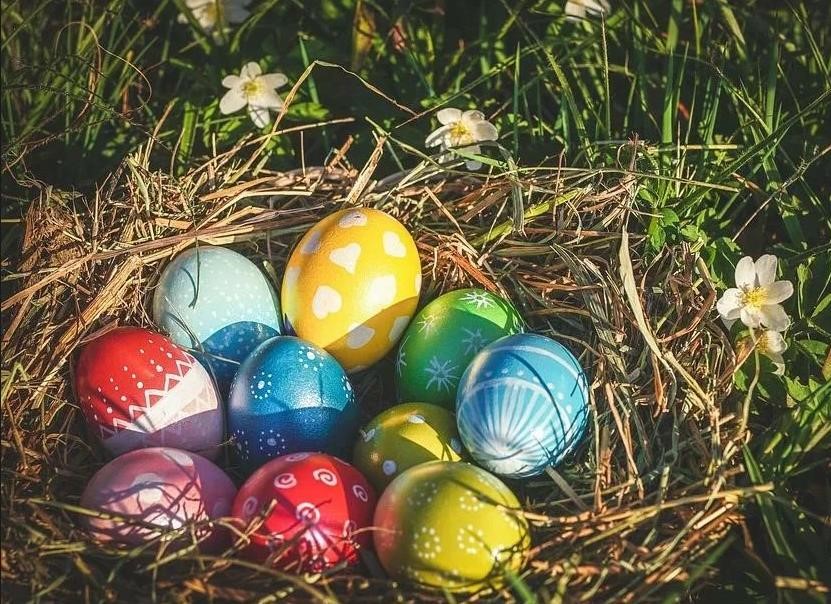 Россиянам рассказали, сколько можно есть яиц без вреда для здоровья