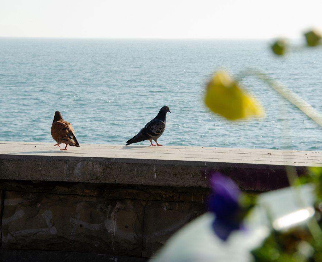 Аномалия станет нормой: метеорологи перейдут на новый критерий оценки погоды в России