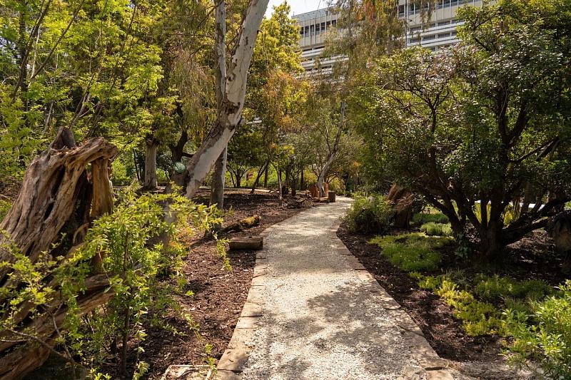 В Сочи обустраивают новый «Уголок Венчагова»