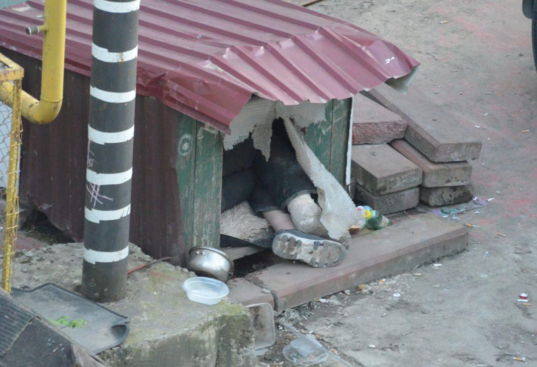 Собачья жизнь, зато в Сочи: мужчина поселился в будке на курорте