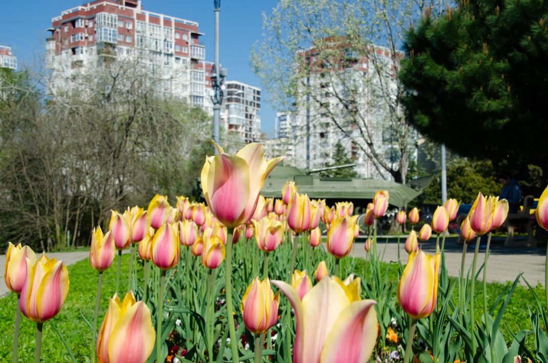 Погода испортится, загара не будет: в Сочи прогнозируют сильные дожди