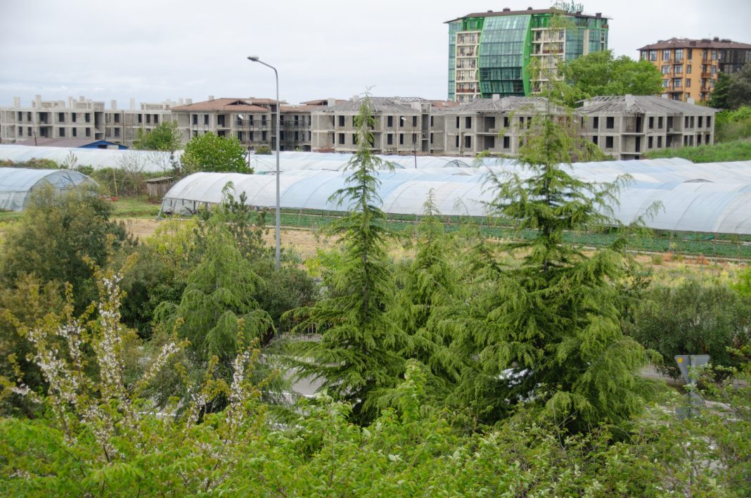 В Сочи добиваются сноса комплекса «Сады киви», аннулировав разрешение на строительство