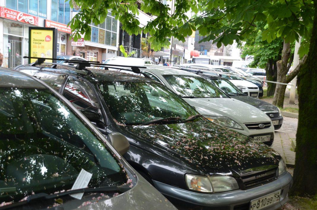 Хорошие новости: в России могут снизить пошлину на ввоз иномарок