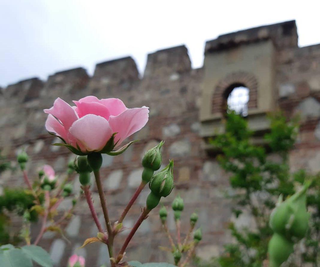 Туристам доступна еще одна страна: Россия разрешила выезд в Грузию