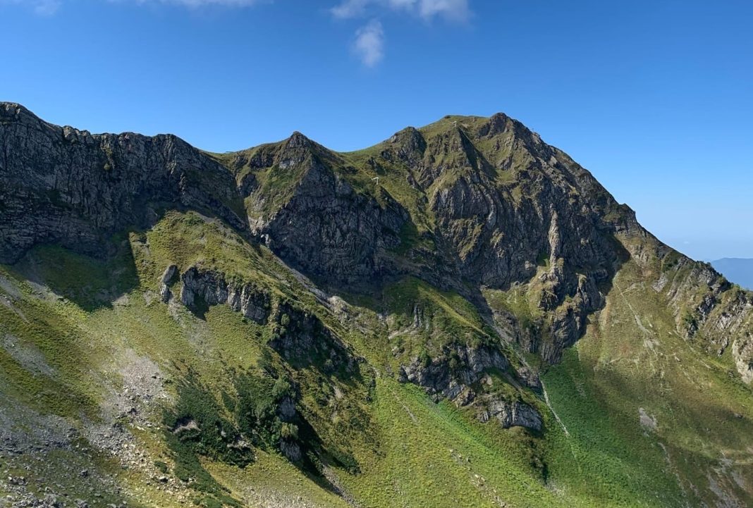 В горах Сочи выставили на торги земельный участок за 61 млн рублей