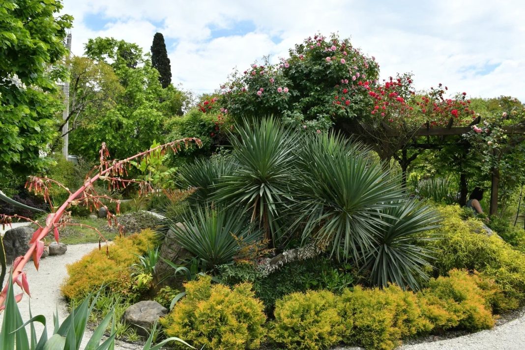 В Сочи воссоздаются ландшафтные уголки Сергея Венчагова