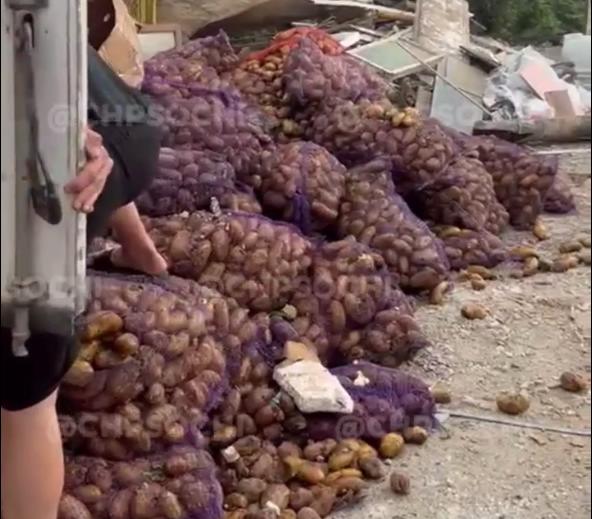 Жители Сочи жалуются на гнилые овощи возле мусорок