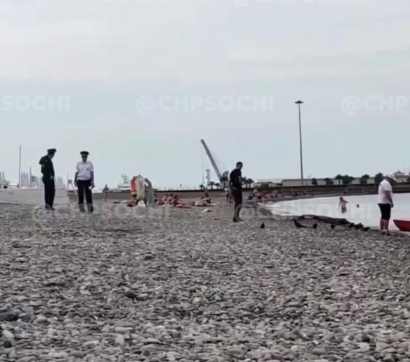 В Сочи выловили труп из моря (Видео)