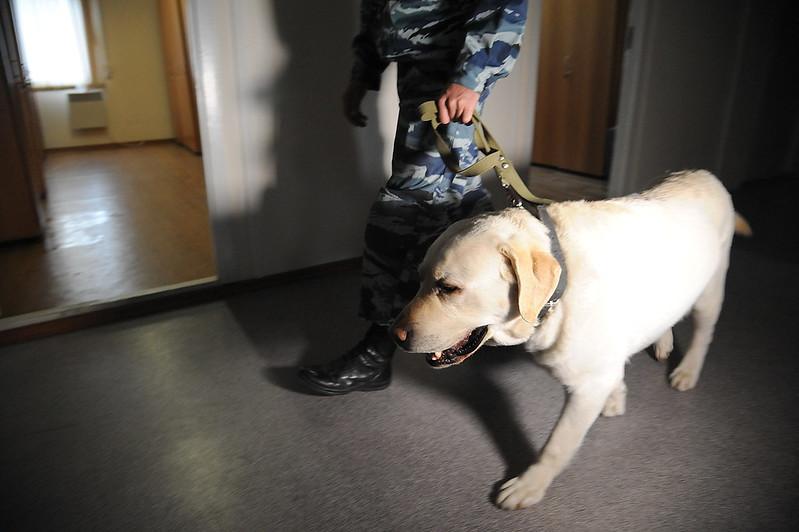 В Сочи любовник украл шубу и продал её