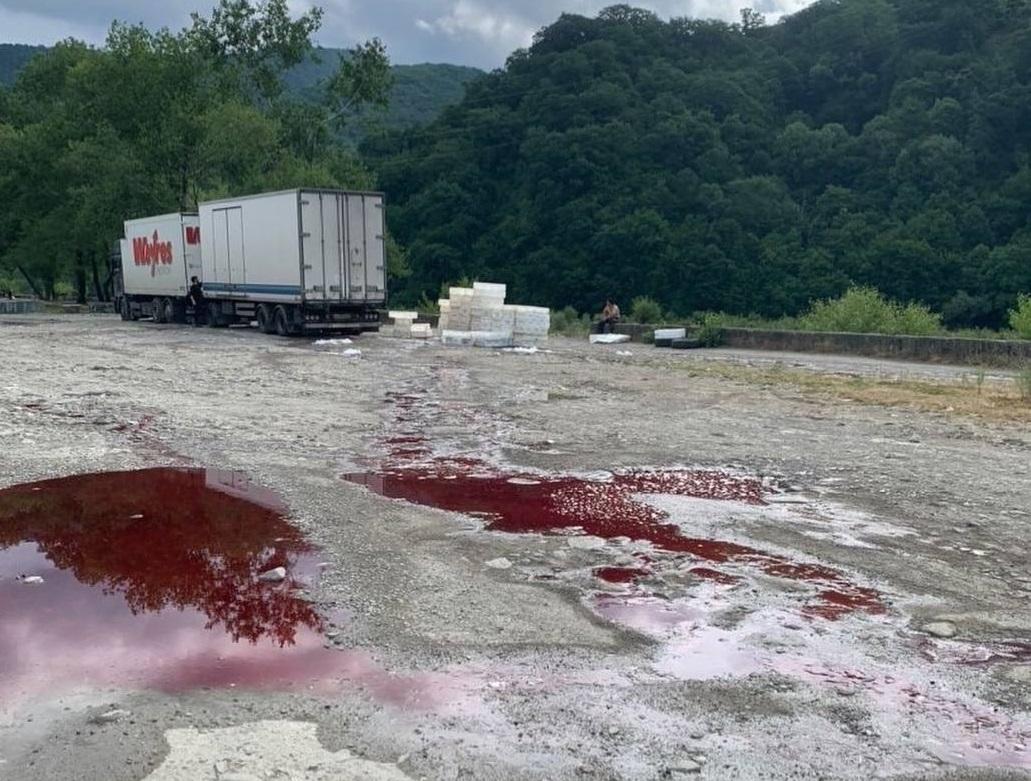 Кровавые лужи на берегу реки в Сочи озадачили очевидцев