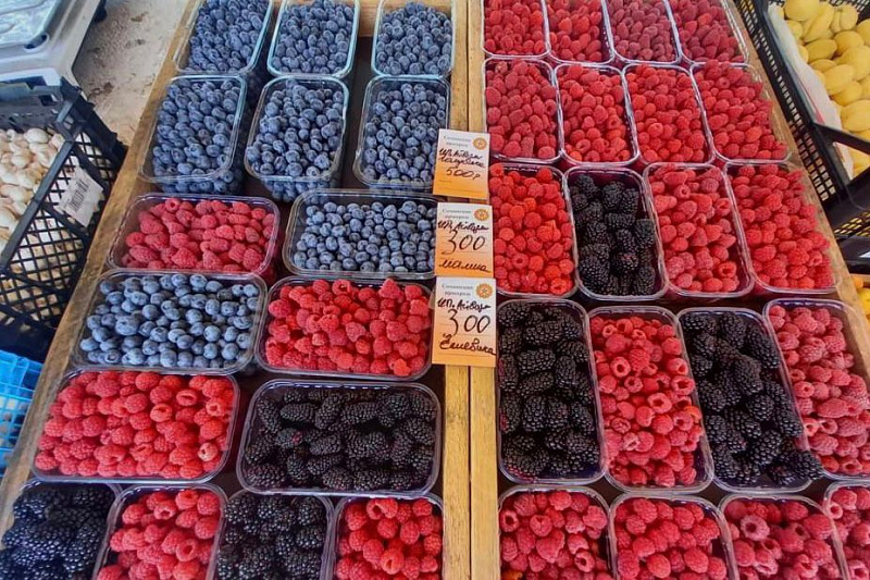 В Сочи появятся новые сельскохозяйственные ярмарки