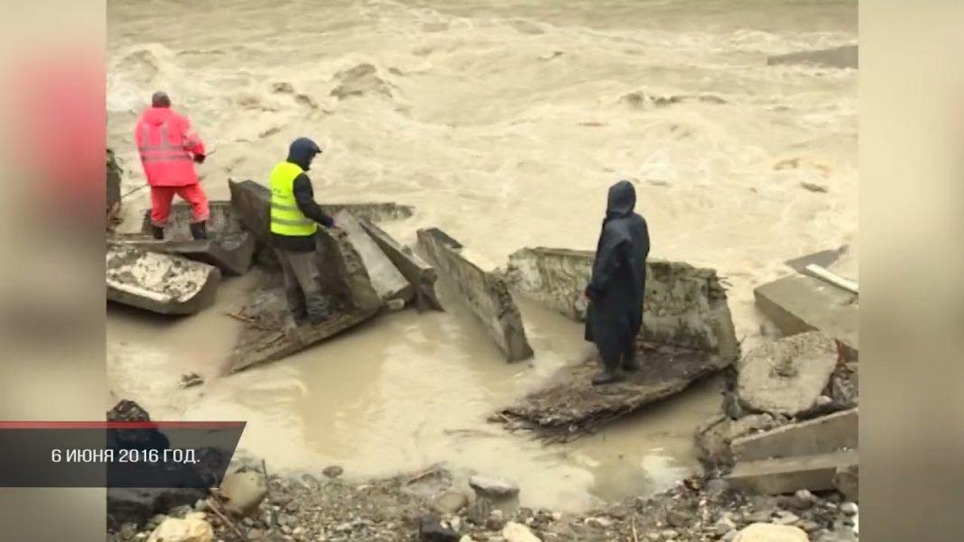 В Сочи в реке вырос лес