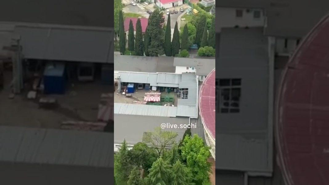 Зверские вопли из цирка встревожили жителей Сочи