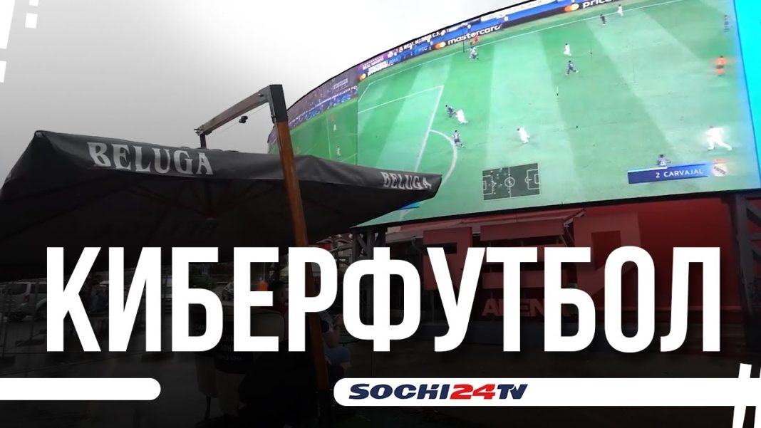 В Сочи зафиксировали новый рекорд (Видео)