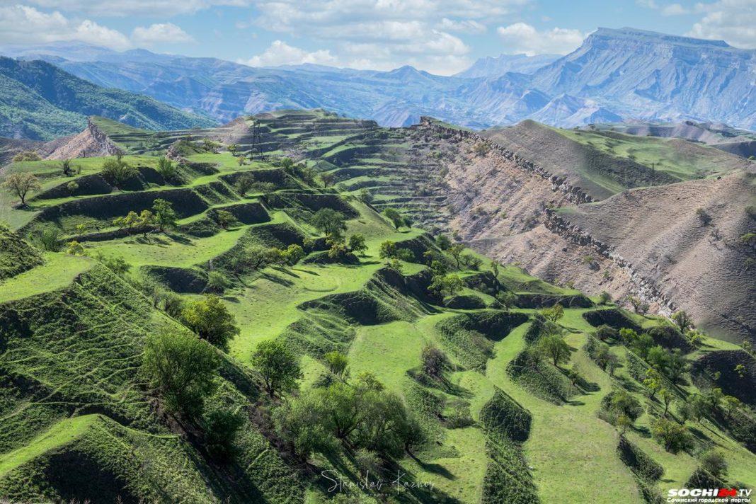 В АТОР рассказали о резком увеличении интереса к одному кавказскому курорту