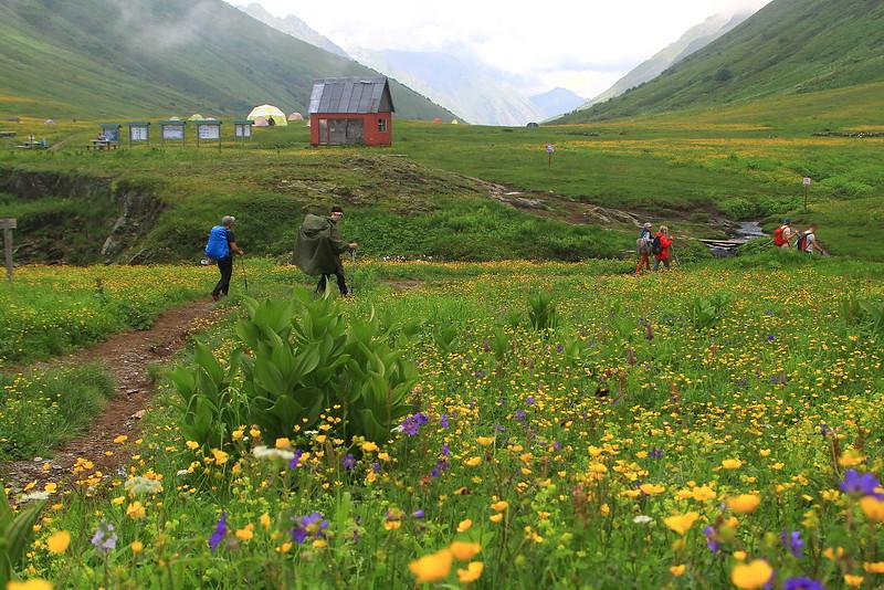 Тихо, идёт учёт: в заповеднике в Сочи пересчитают копытных