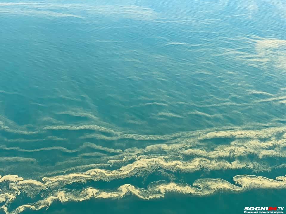 Россиянам объяснили, как отличить омикрон от южных инфекций