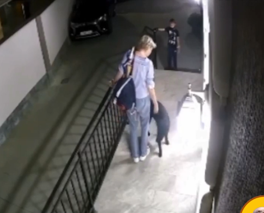 В Сочи женщина отпинала собаку и теперь требует ее усыпить