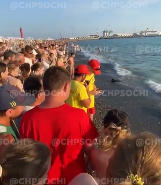 Туристов в Сочи шокировала выплывшая на берег туша