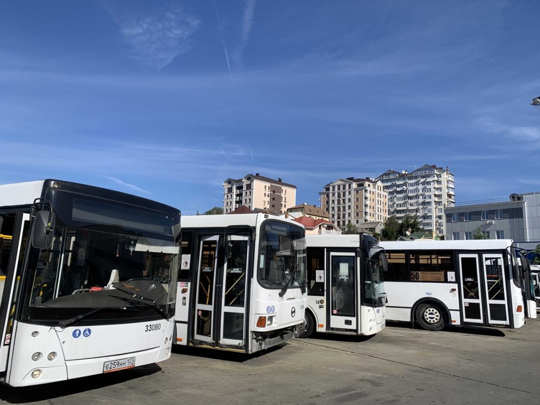 bus