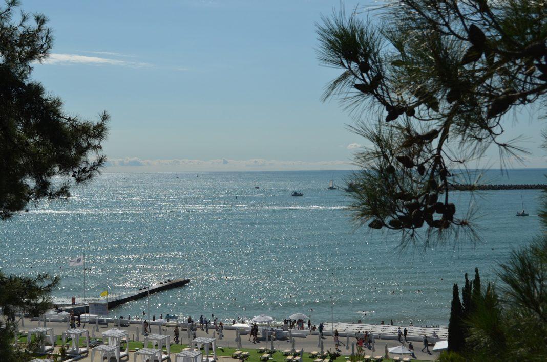 Экс-прокурор Сочи стал новым гендиректором санатория «Белые Ночи»