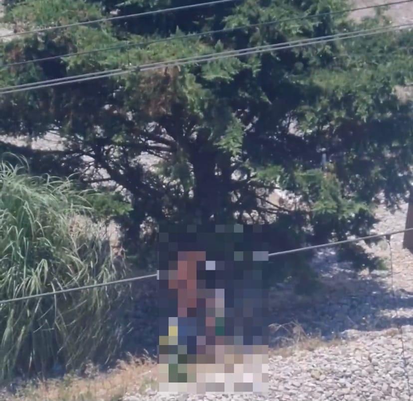 «Кормильцы» приехали: пара занялась сексом на пляже в Сочи