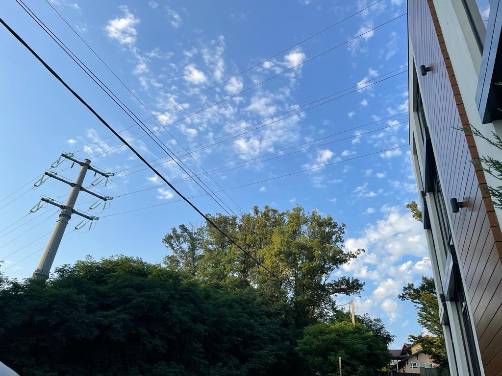 Специалисты Сочинских электрических сетей выявили 80 нарушений охранных зон ЛЭП