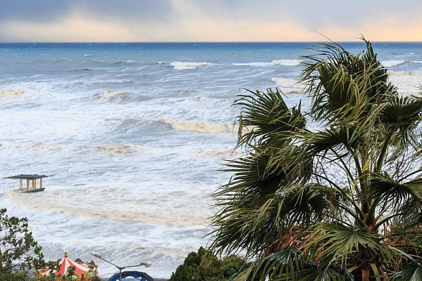 Снова ливни: на Сочи надвигаются дожди и смерчи