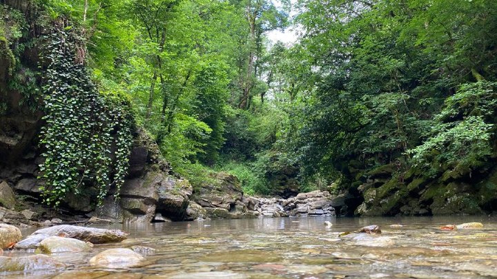 В Сочи нашли старушку в русле реки