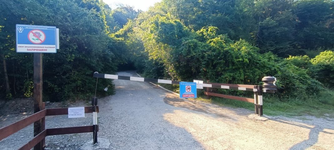 В Сочи закрыли проезд к популярной достопримечательности