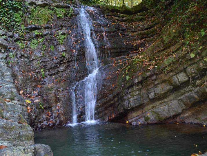 Россиянка рассказала, где можно охладиться в Сочи