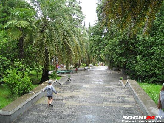 Синоптики спрогнозировали переменчивую погоду в Сочи в первую неделю августа
