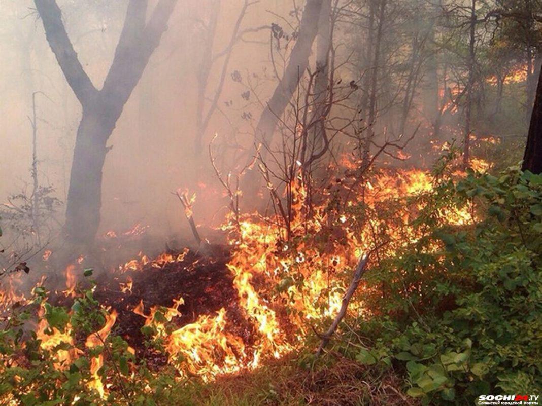 В Краснодарском крае тушат крупный лесной пожар