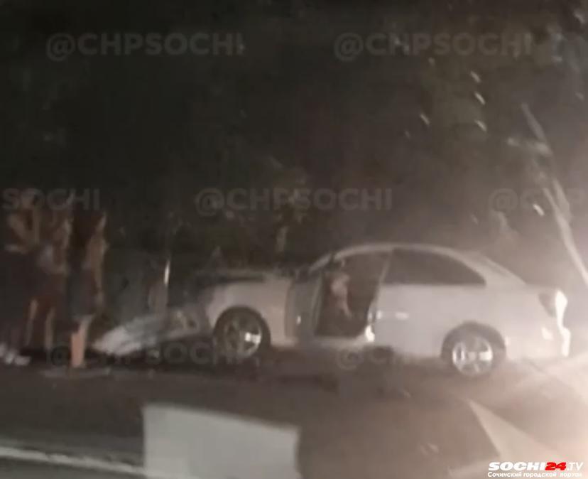 В Сочи пострадал водитель иномарки, спасая собаку (Видео)