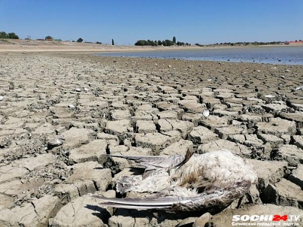 Готовиться ли к худшему? Эксперт рассказал, какие климатические изменения произойдут в Краснодарском крае