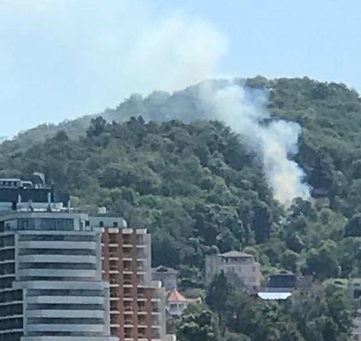 Стала известна причина пожара в Дагомысе