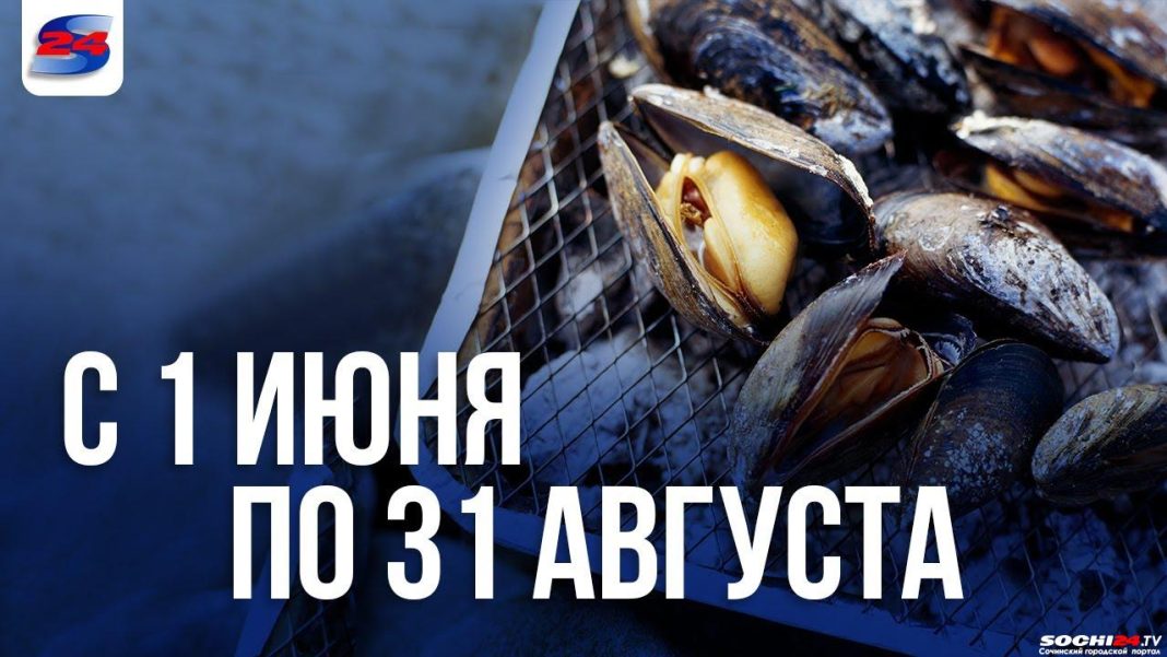 В Сочи ловцам мидий светит уголовка