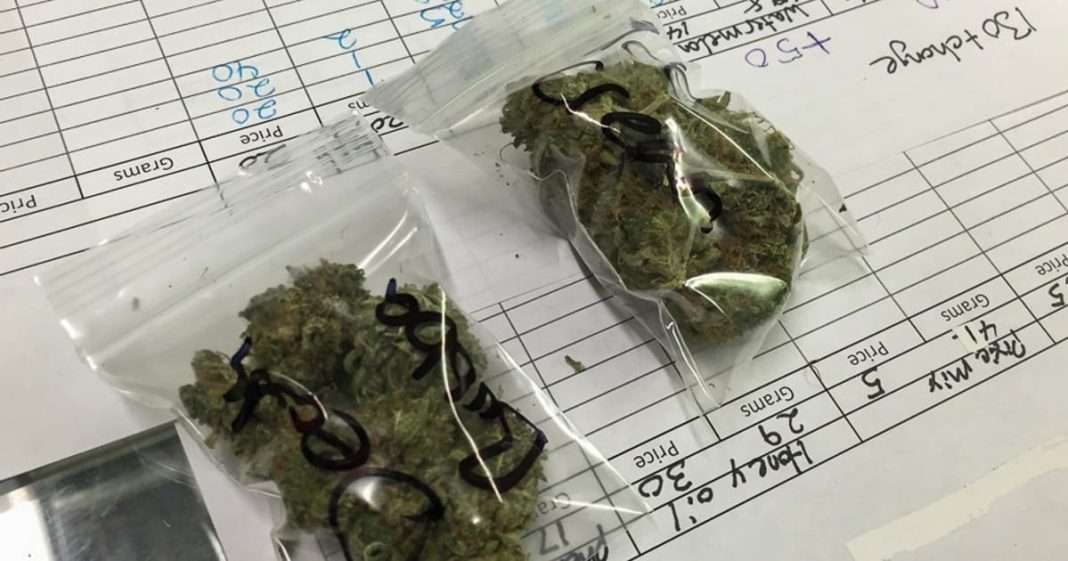 В лесу Сочи поймали приезжего с наркотиками