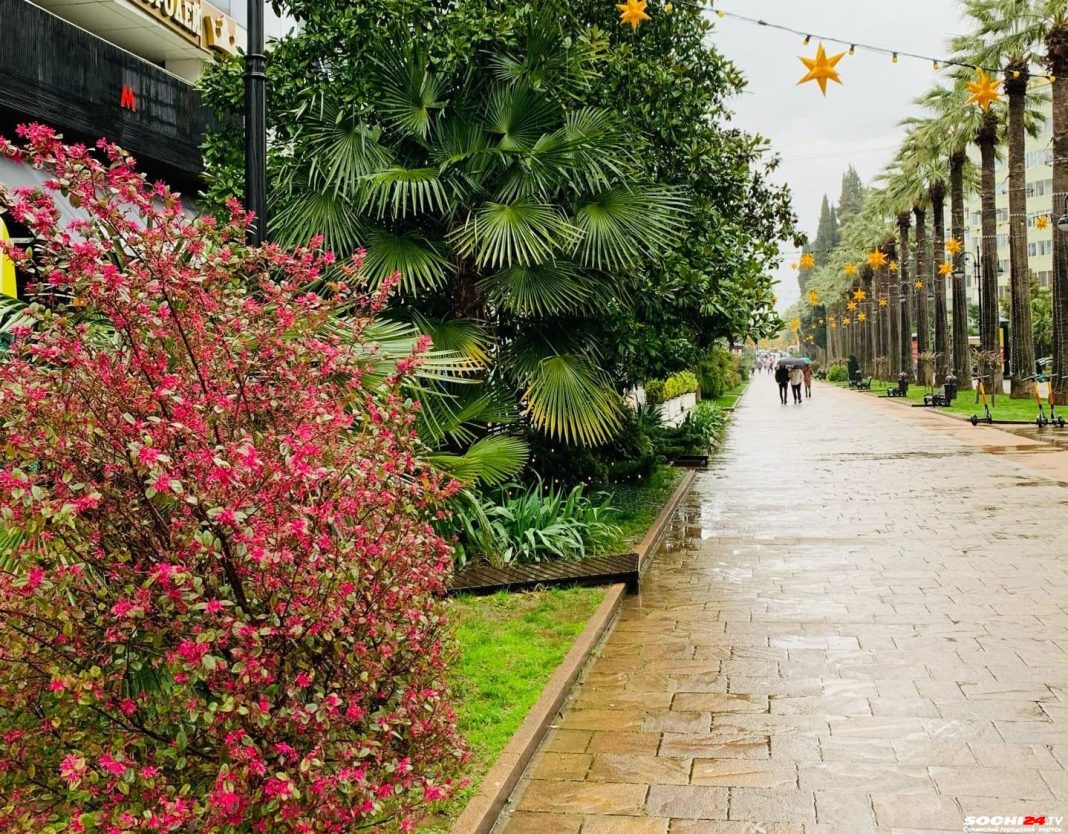 На Сочи надвигаются ливни и молнии