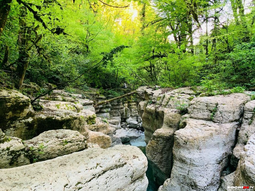 В Сочи спасатели помогли туристу на Белых скалах