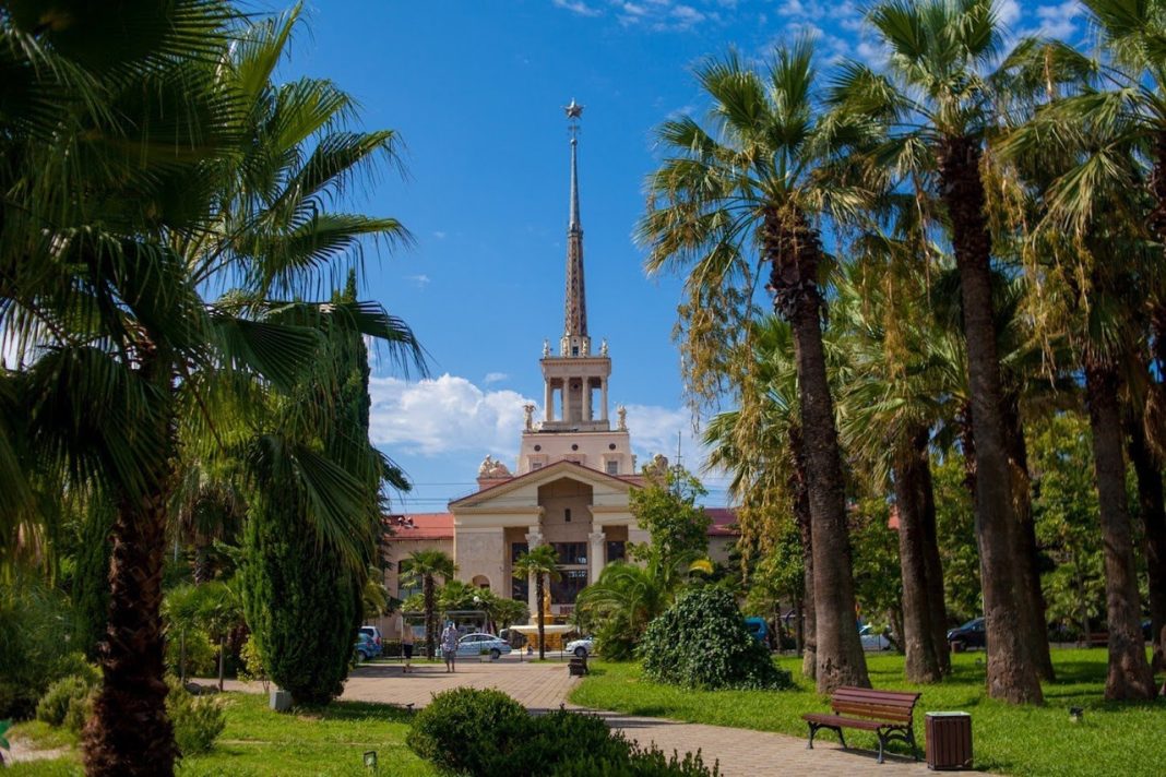 В Сочи высадят кусты роз и новые аллеи в честь 85-летия Краснодарского края