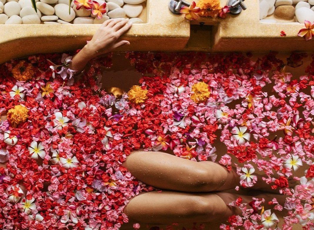 Для Прокловой наполнили бассейн розами в Сочи