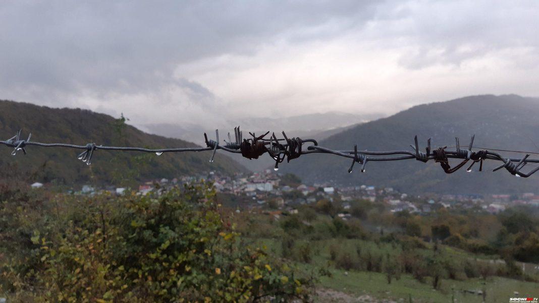 В России упростят механизм изъятия неиспользуемых земель