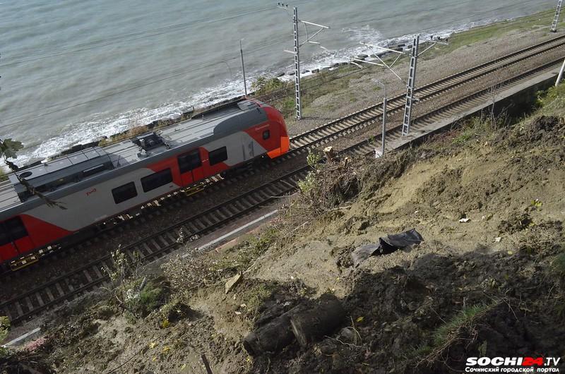 В Сочи задержали поезда из-за падения дерева на рельсы