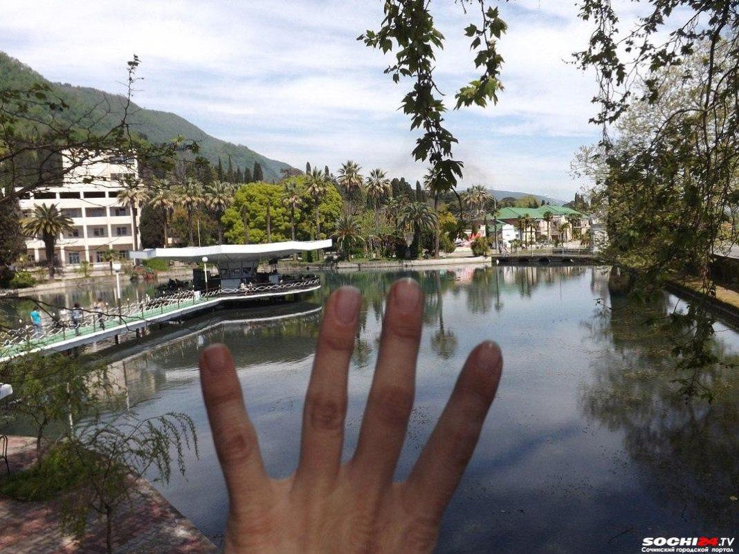 Принудительная дегустация в Абхазии сильно разочаровала россиянку